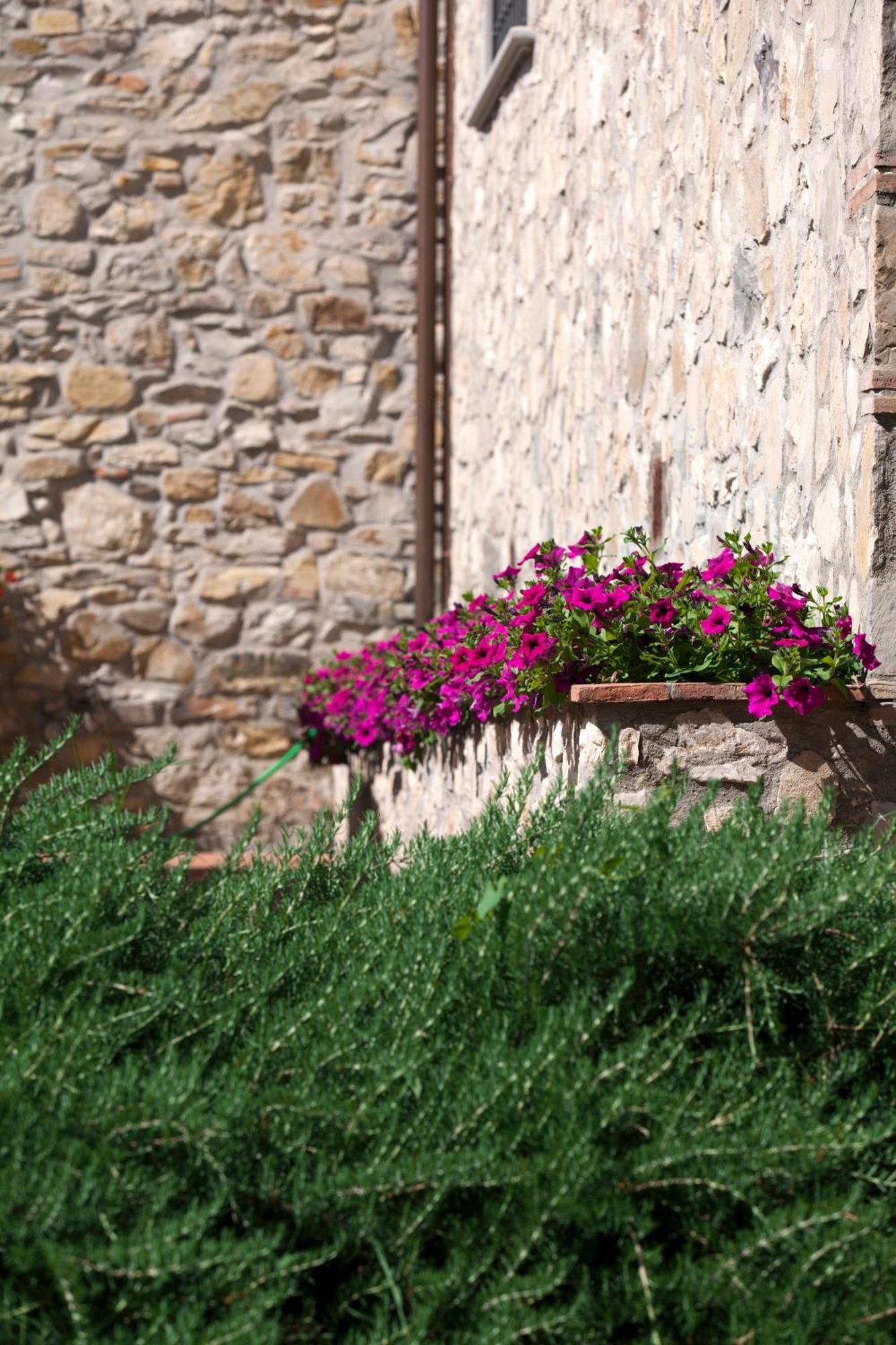 Agriturismo La Casa Di Rodo Quarrata Exterior foto