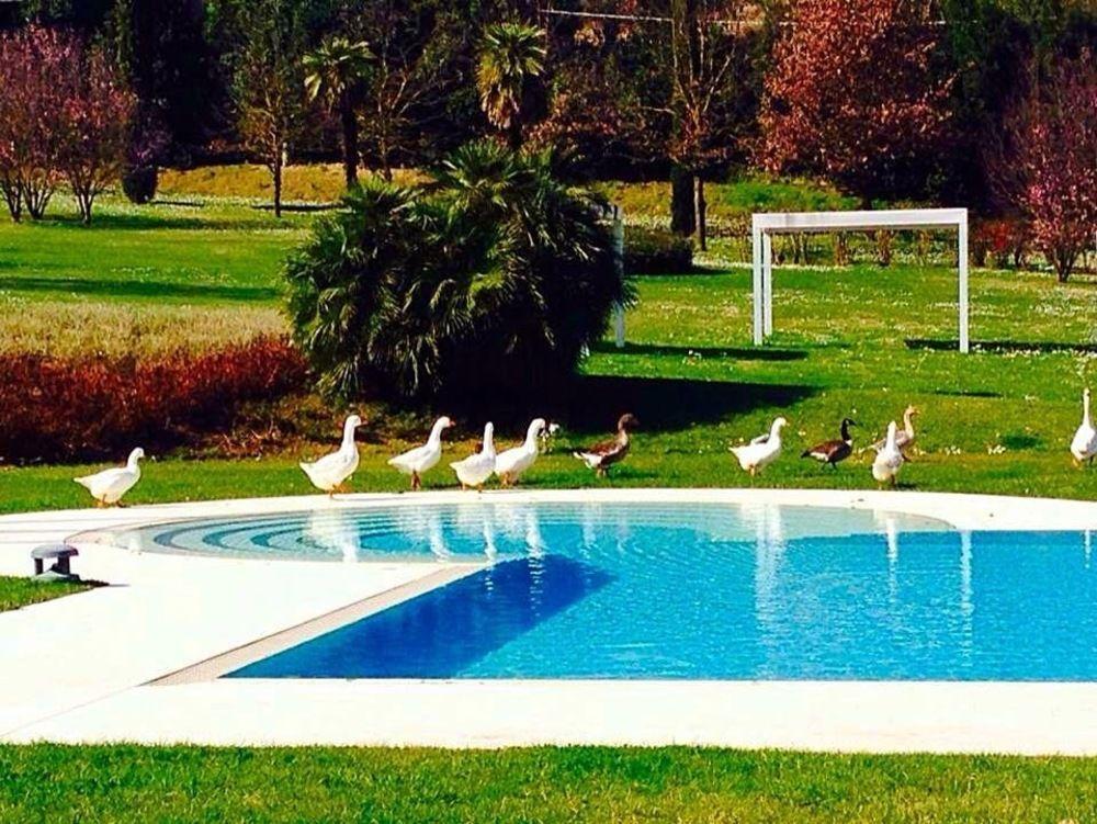 Agriturismo La Casa Di Rodo Quarrata Exterior foto